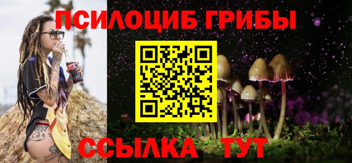 Галлюциногенные грибы MAGIC MUSHROOMS  Вход с VPN  Шали 