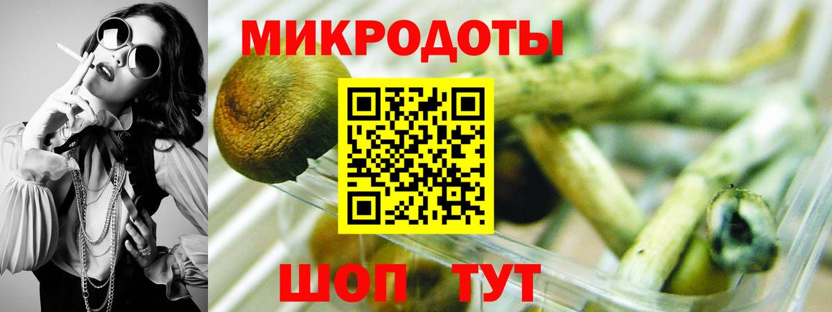 Галлюциногенные грибы прущие грибы Шали